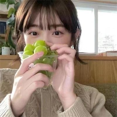 百合熊风暴